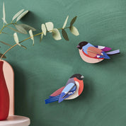 Pinzones (Set 2 unids)