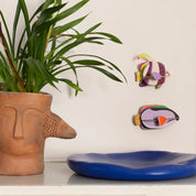 Pez Angel Rey