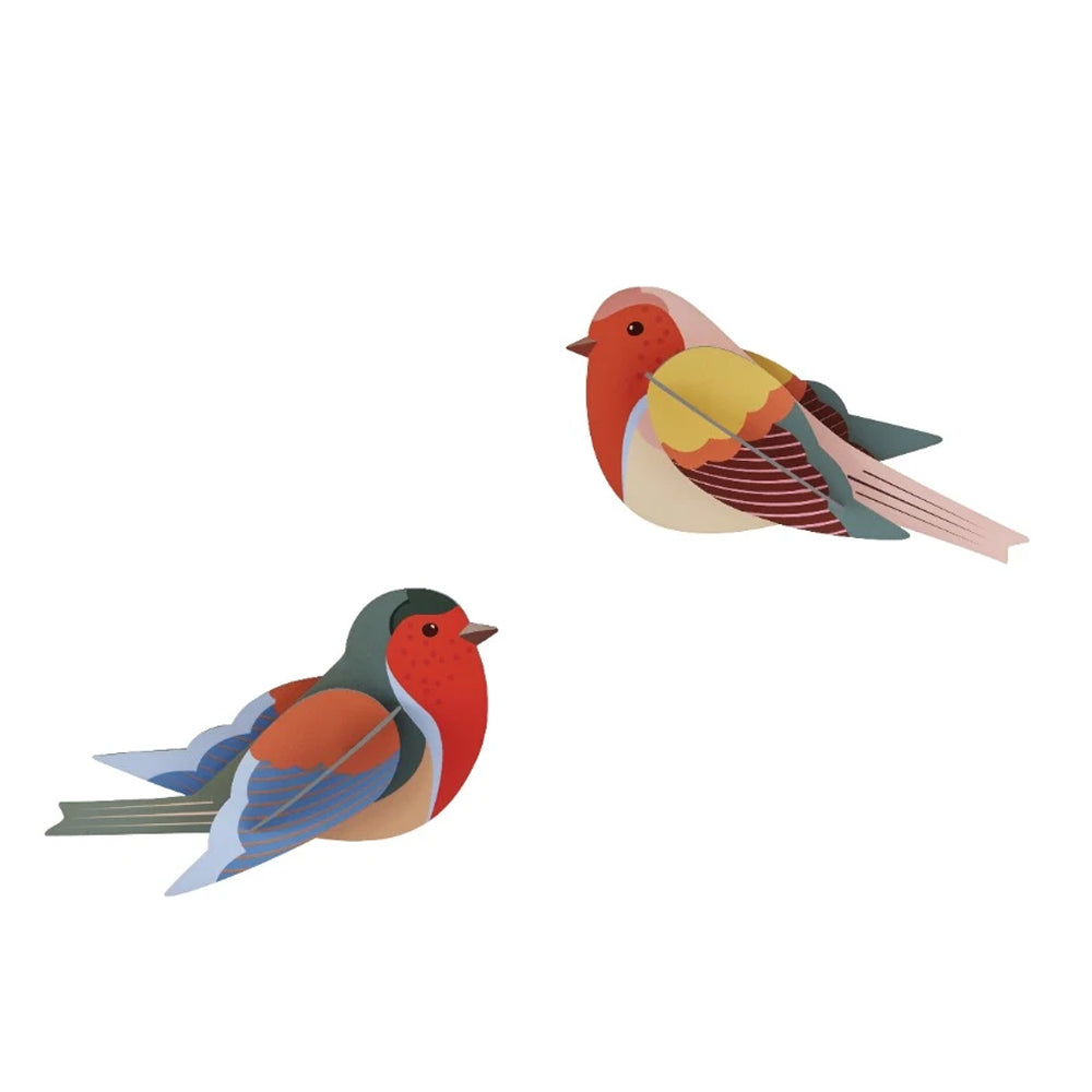 Petirrojos (Set 2 unids)