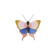 Mariposa con Borde Dorado