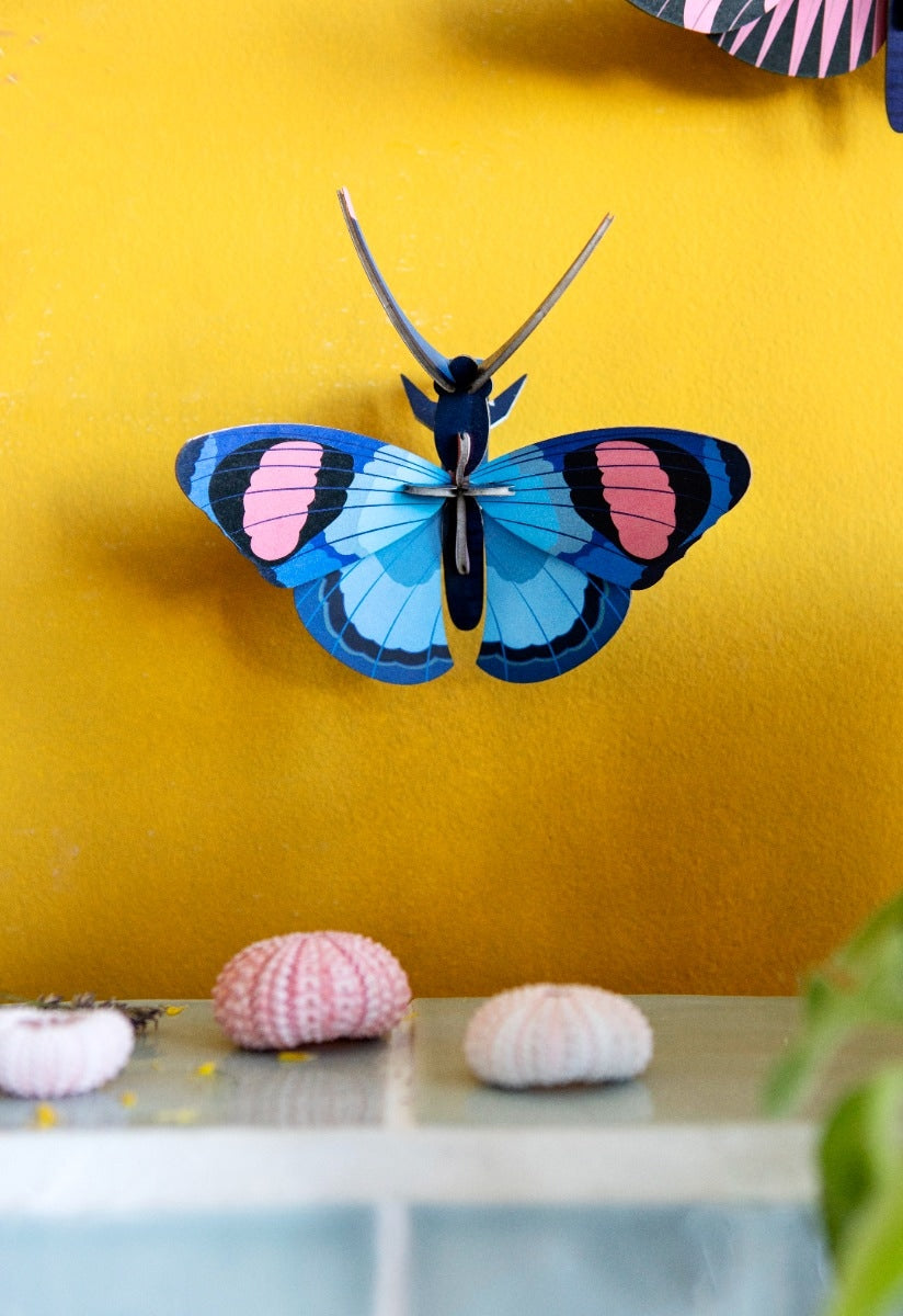 Mariposa Pavo Real