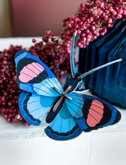 Mariposa Pavo Real