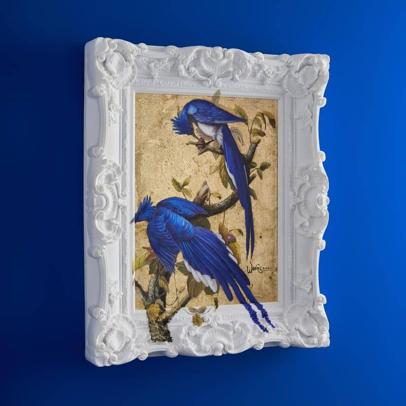 Pintura Vogi